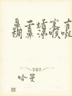 鼻子堵塞有黄粘稠鼻涕喉咙痛吃什么药