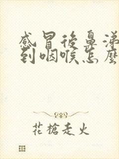 感冒后鼻涕倒流到咽喉怎么治封面