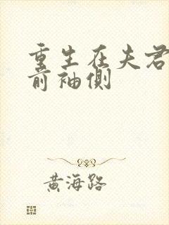 重生在夫君登基前袖侧