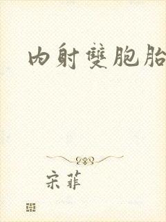 内射双胞胎姐妹封面