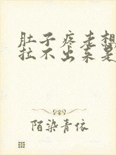 肚子疼老想拉屎拉不出来是怎么回事