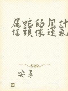 属蛇的用什么微信头像运气好