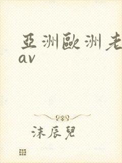 亚洲欧洲老熟女av