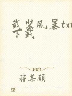 武装风暴txt下载封面
