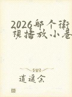 2026哪个卫视播放小巷人家