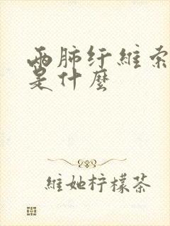 两肺纤维索条影是什么