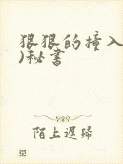 狠狠的撞入(h)秘书