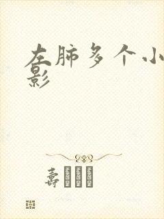 左肺多个小结节影封面