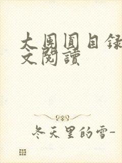 大团圆目录及全文阅读封面