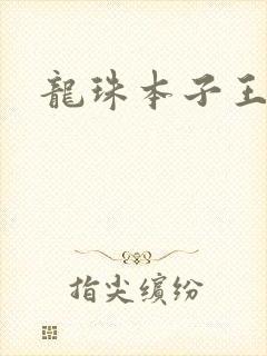 龙珠本子王封面