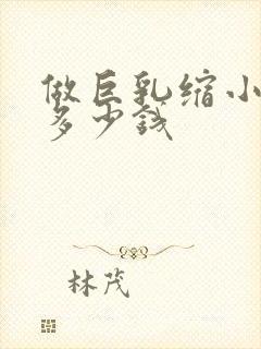 做巨乳缩小手术多少钱