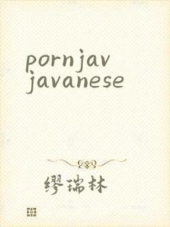 pornjavjavanese封面