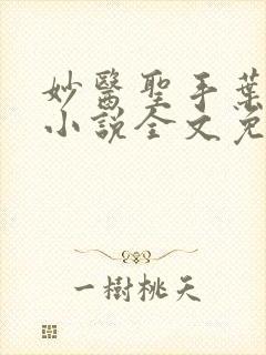 妙医圣手叶皓轩小说全文免费阅读最新章节