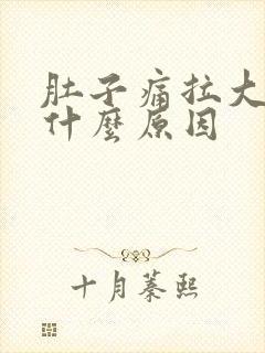 肚子痛拉大便是什么原因