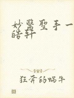 妙医圣手一念叶皓轩