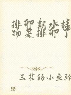 排卵期水样分泌物是排卵了吗封面