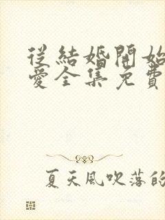 从结婚开始谈恋爱全集免费观看