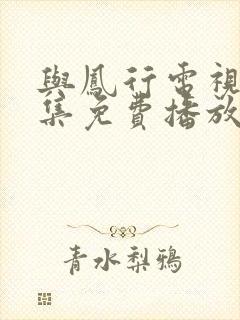 与凤行电视剧全集免费播放封面