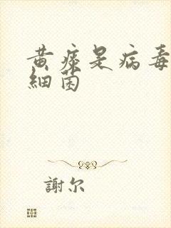 黄痰是病毒还是细菌封面