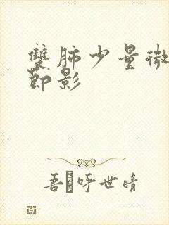 双肺少量微小结节影