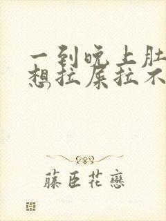 一到晚上肚子疼想拉屎拉不出来怎么回事封面