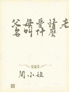 父母爱情老丁全名叫什么