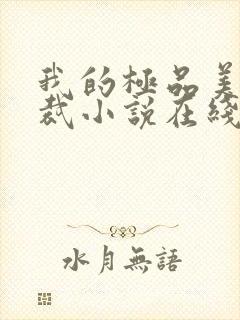 我的极品美女总裁小说在线收听