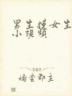 男生摸女生的胸小视频