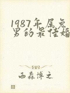 1987年属兔男的最佳婚配