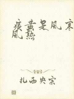 痰黄是风寒还是风热