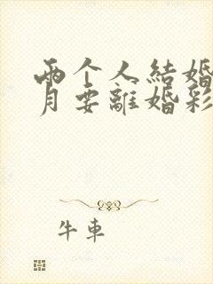 两个人结婚三个月要离婚彩礼怎么退