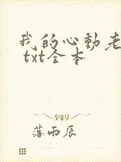我的心动老板娘 txt全本