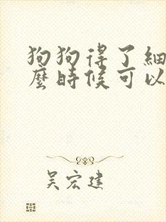 狗狗得了细小什么时候可以吃东西