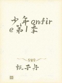 少年onfire第1季