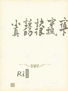 小说快穿宿主她真的很飘下载封面