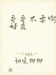 哥哥不要啊啊啊好爽封面