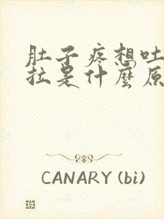 肚子疼想吐又想拉是什么原因