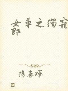 女尊之独宠丑夫郎