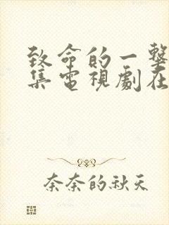 致命的一击36集电视剧在线观看