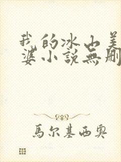 我的冰山美女老婆小说无删减封面