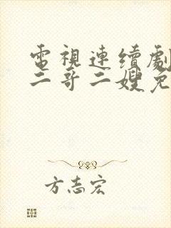 电视连续剧我的二哥二嫂免费的