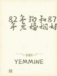 82年狗和87年兔婚姻好不好