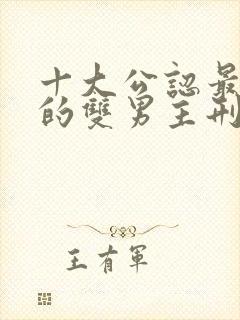 十大公认最好看的双男主刑侦小说