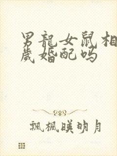 男龙女鼠相差8岁婚配吗封面