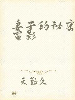 妻子的秘密3 电影封面