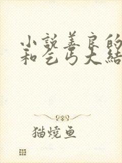 小说善良的美人和乞丐大结局