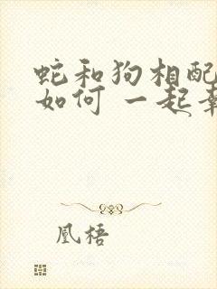 蛇和狗相配婚姻如何 一起幸福吗