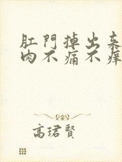 肛门掉出来一坨肉不痛不痒封面