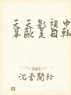 天天影视中文字幕欧美日韩精品在线