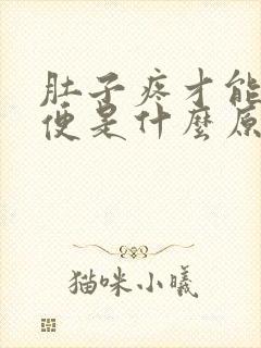 肚子疼才能拉大便是什么原因